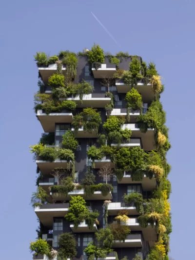 CSI and Sustainability